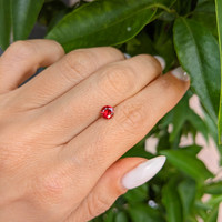 0.54 Ct. Ruby from Mozambique Life Style