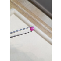 2.56 Ct. Cabochon Ruby from Burma (Myanmar) Life Style