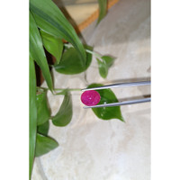 3.56 Ct. Cabochon Ruby from Burma (Myanmar) Life Style