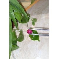 2.45 Ct. Cabochon Ruby from Burma (Myanmar) Life Style
