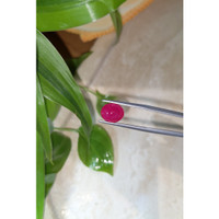 4.09 Ct. Cabochon Ruby from Burma (Myanmar) Life Style