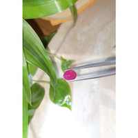 2.70 Ct. Cabochon Ruby from Burma (Myanmar) Life Style