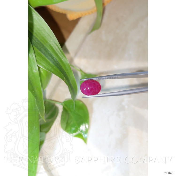 4.73 Ct. Cabochon Ruby from Burma (Myanmar)