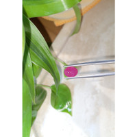 2.98 Ct. Cabochon Ruby from Burma (Myanmar) Life Style