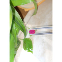 2.75 Ct. Cabochon Ruby from Burma (Myanmar) Life Style