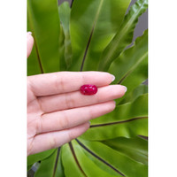 7.26 Ct. Ruby from Mozambique Life Style