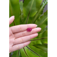 8.42 Ct. Ruby from Mozambique Life Style