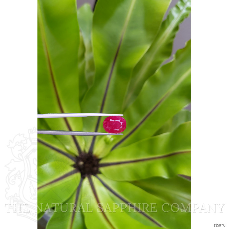 8.42 Ct. Ruby from Mozambique