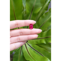 4.40 Ct. Ruby from Mozambique Life Style