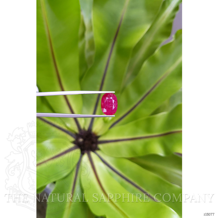 4.40 Ct. Ruby from Mozambique