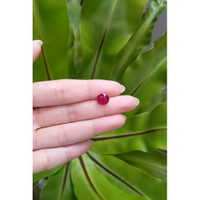 3.16 Ct. Ruby from Mozambique Life Style