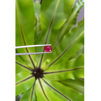 2.68 Ct. Ruby from Mozambique Life Style