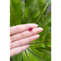2.68 Ct. Ruby from Mozambique Life Style