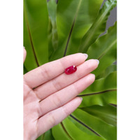 3.33 Ct. Ruby from Mozambique Life Style
