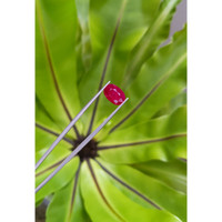 3.38 Ct. Ruby from Mozambique Life Style