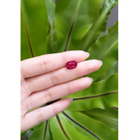 3.38 Ct. Ruby from Mozambique Life Style