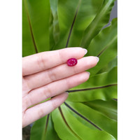 4.14 Ct. Ruby from Mozambique Life Style