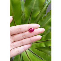 5.03 Ct. Ruby from Mozambique Life Style