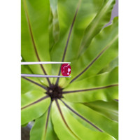 3.94 Ct. Ruby from Mozambique Life Style