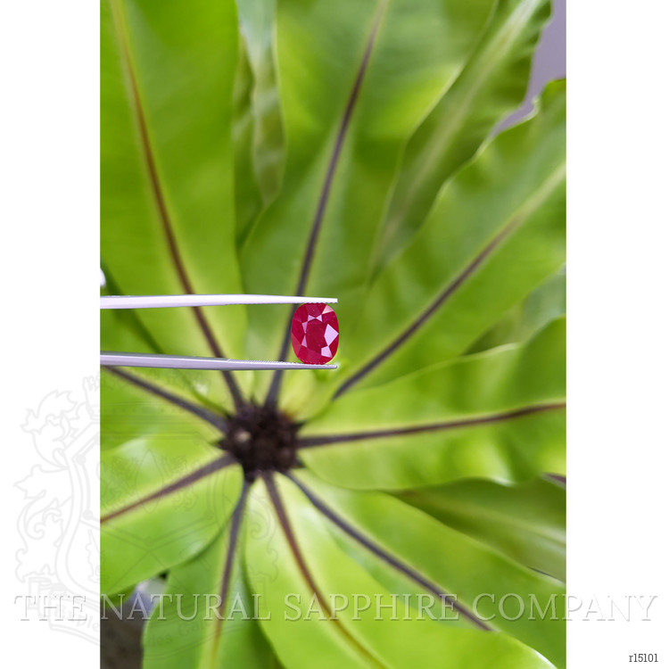 3.94 Ct. Ruby from Mozambique