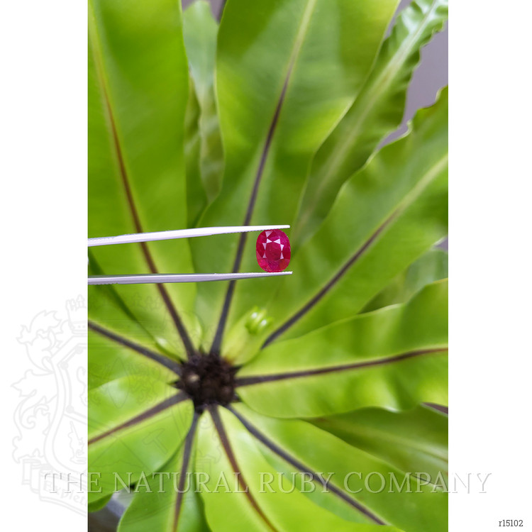 4.04 Ct. Ruby from Mozambique