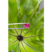 4.35 Ct. Ruby from Mozambique Life Style