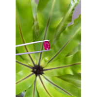 3.03 Ct. Ruby from Mozambique Life Style