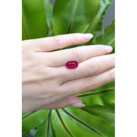 3.03 Ct. Ruby from Mozambique Life Style