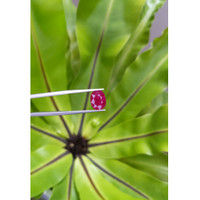 4.01 Ct. Ruby from Mozambique Life Style