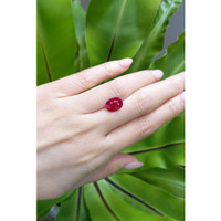 4.01 Ct. Ruby from Mozambique Life Style
