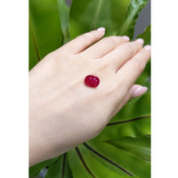 4.62 Ct. Ruby from Mozambique Life Style