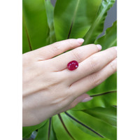 4.62 Ct. Ruby from Mozambique Life Style