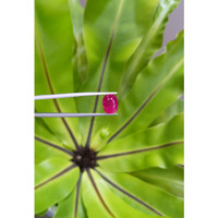 3.29 Ct. Ruby from Mozambique Life Style