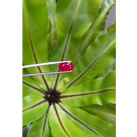 6.18 Ct. Ruby from Mozambique Life Style