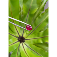 4.92 Ct. Ruby from Mozambique Life Style