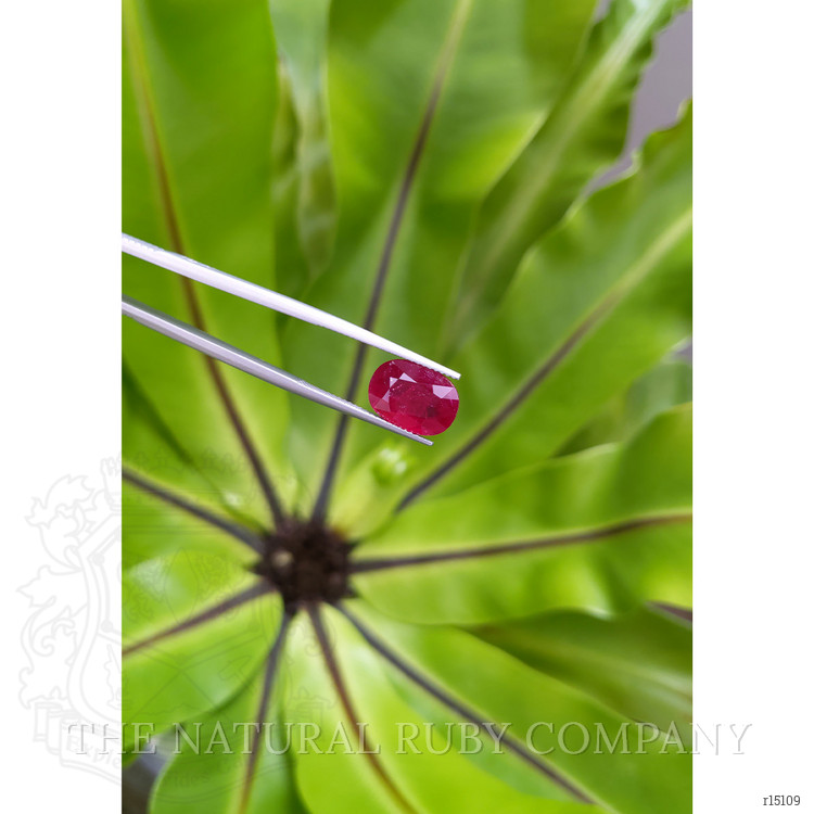 4.92 Ct. Ruby from Mozambique
