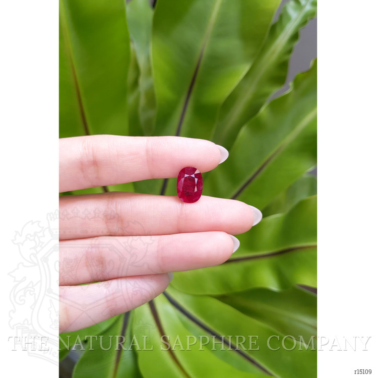 4.92 Ct. Ruby from Mozambique