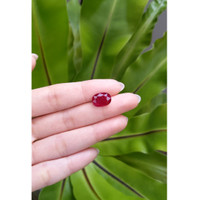 4.92 Ct. Ruby from Mozambique Life Style