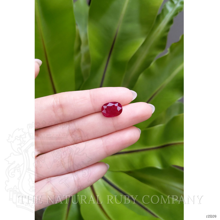 4.92 Ct. Ruby from Mozambique