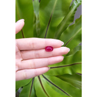 5.86 Ct. Ruby from Mozambique Life Style