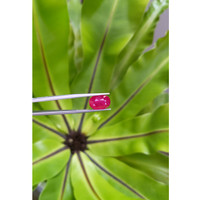 5.86 Ct. Ruby from Mozambique Life Style