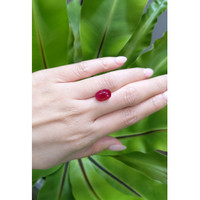 5.40 Ct. Ruby from Mozambique Life Style
