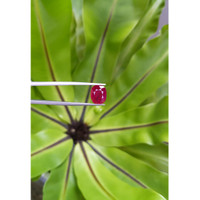 4.00 Ct. Ruby from Mozambique Life Style