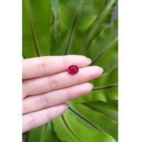 3.63 Ct. Ruby from Mozambique Life Style