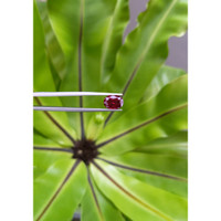 2.98 Ct. Ruby from Mozambique Life Style