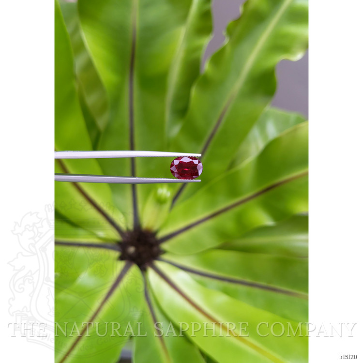 2.98 Ct. Ruby from Mozambique
