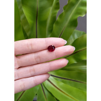 3.15 Ct. Ruby from Mozambique Life Style