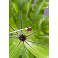 1.94 Ct. Ruby from Mozambique Life Style
