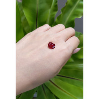 3.46 Ct. Ruby from Mozambique Life Style