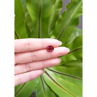 3.34 Ct. Ruby from Mozambique Life Style